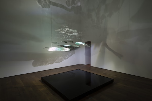 Luminous Shadows